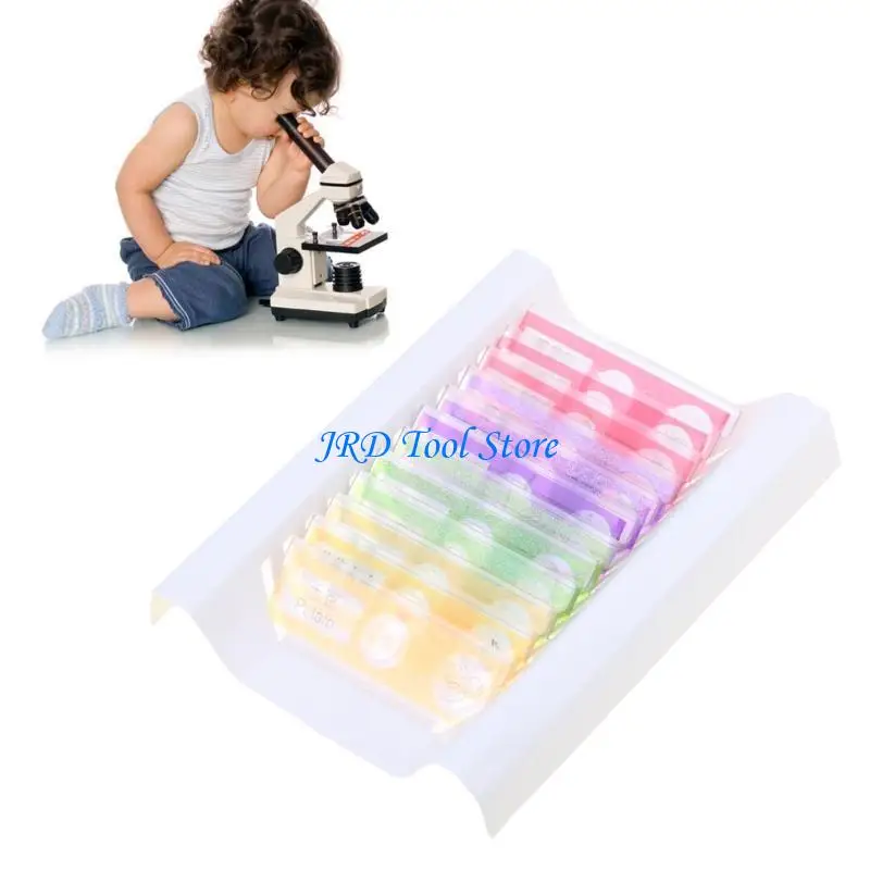 A2UD pour les enfants Plastic Préparé microscope Tlides Insecte Échantillon d'échantillon biologique