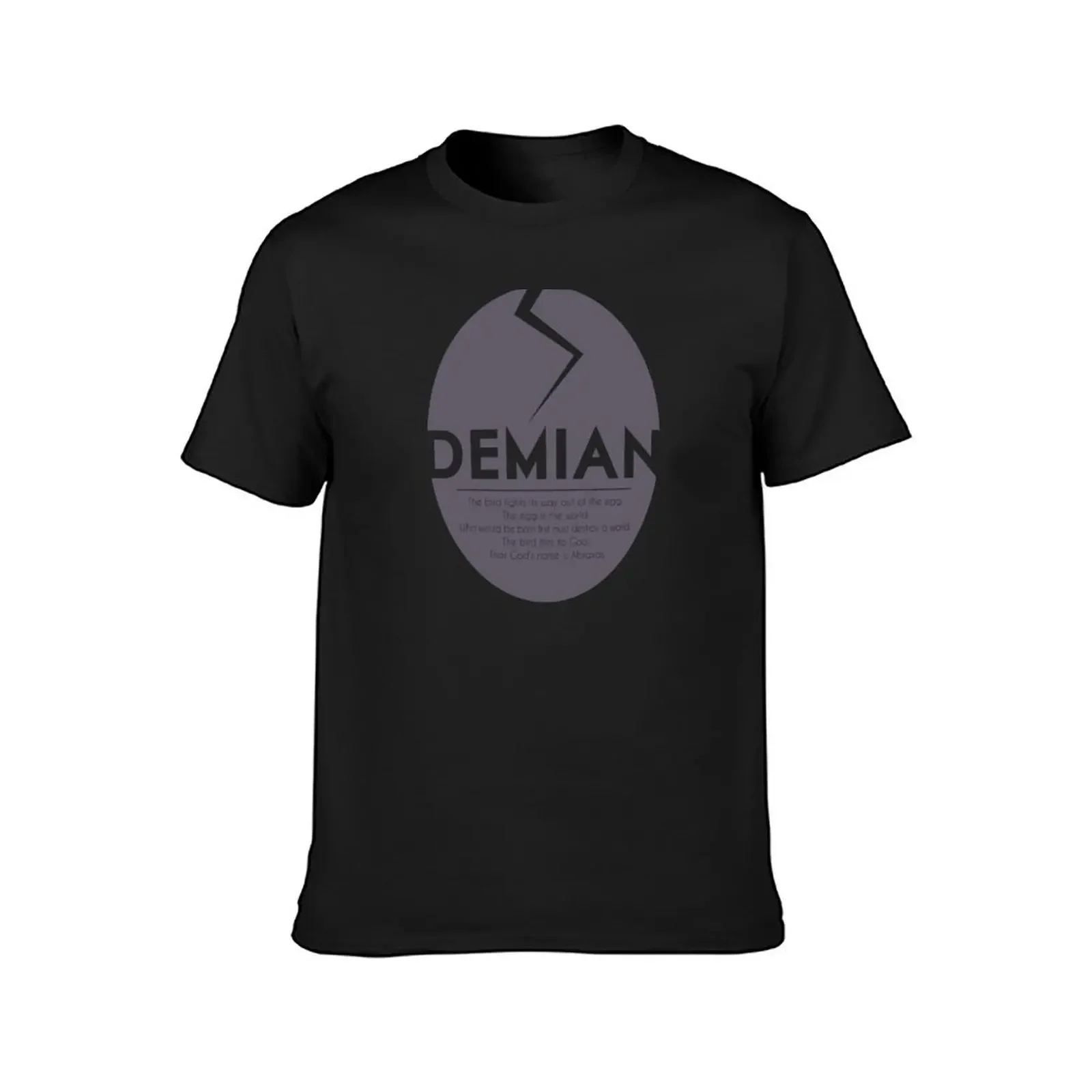 DEMIAN by Hermann Hesse T-Shirt kawaii clothes anime clothes Men's t-shirt