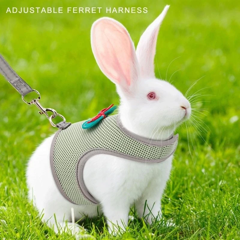 

Rabbit Harness Leash Set with Adjustable Size Breathable Vest Leash Rope for Small Pet Outdoor Walking Training