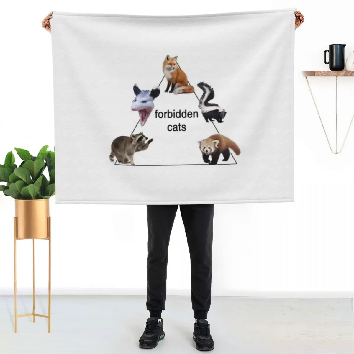 forbidden cats Throw Blanket for sofa For Baby sofa bed Luxury St Beautifuls Bed Blankets