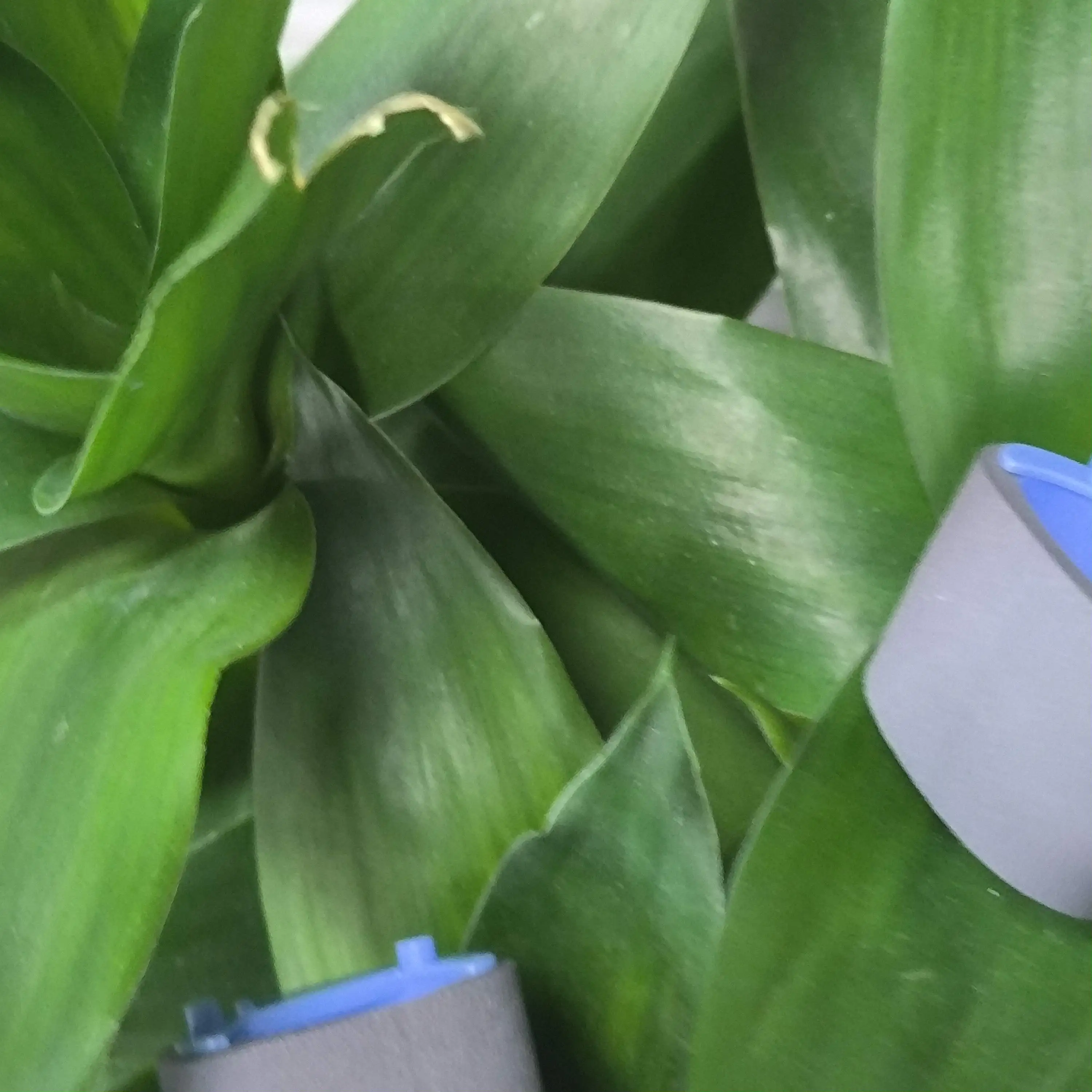 

50 шт. RL1-1497-000 Ролик захвата для HP M1530 M1536 M1120 M1522 P1505 P1566 P1606 MF 4410 4450 4452 4570 4550 D520 LBP 3250 6200