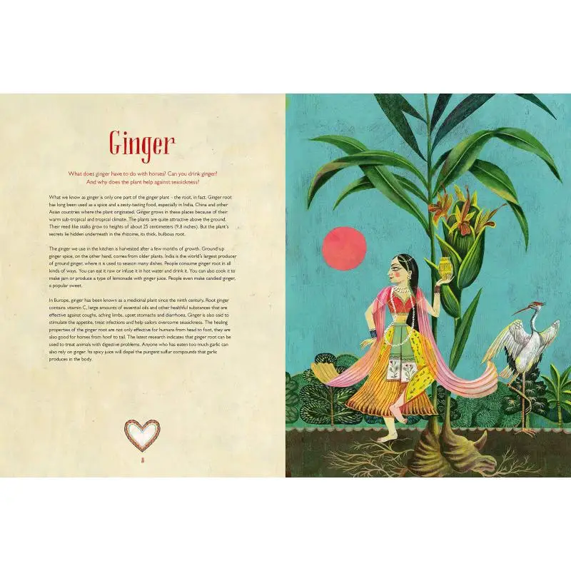 Olaf HajekFlower PowerThe Magic Of Natures Healers Olaf HajekChristine Paxmann Prestel Publishing 9783791373997 Book