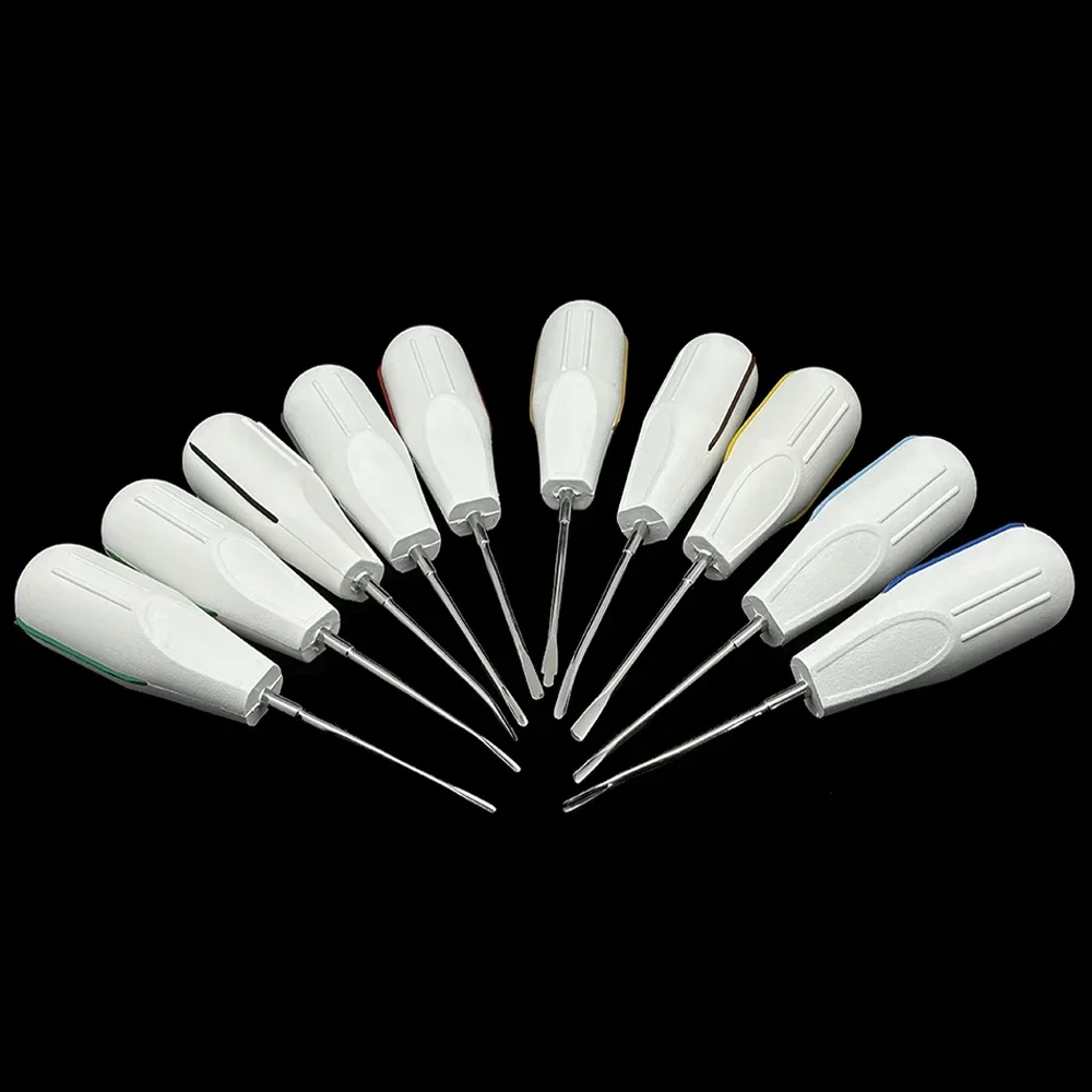 

10pcs/set Dental Root Elevators Tooth Extraction Kit Luxating Elevator with Plastic Handle for Oral Surgery Dental Tools