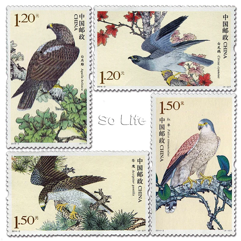 2014-2 , bird of prey 2, Post Stamps . 4 pieces . Philately , Postage , Collection