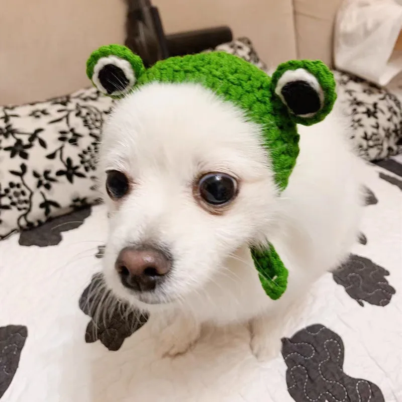 Handmade Knitted Hat for Pet Dogs, Cute Frog Shape Headgear, Fun Photography Socialization, Puppy