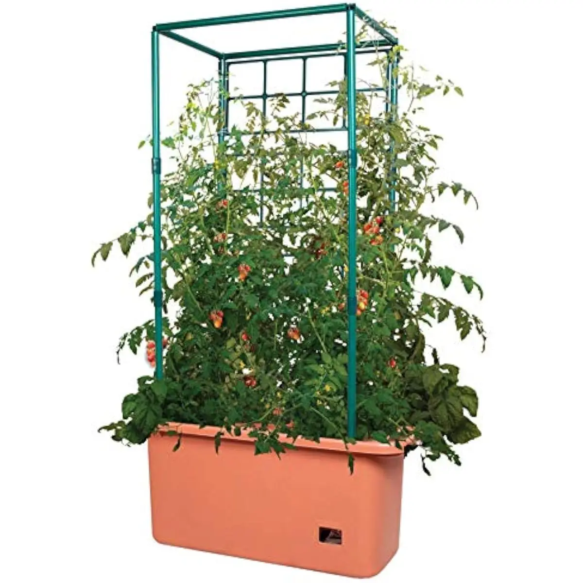 GCTR Tomato Grow System 10 Gallon Planter with 4 Foot Vertical Trellis Support Frame Lightweight Plastic Construction Green Colo