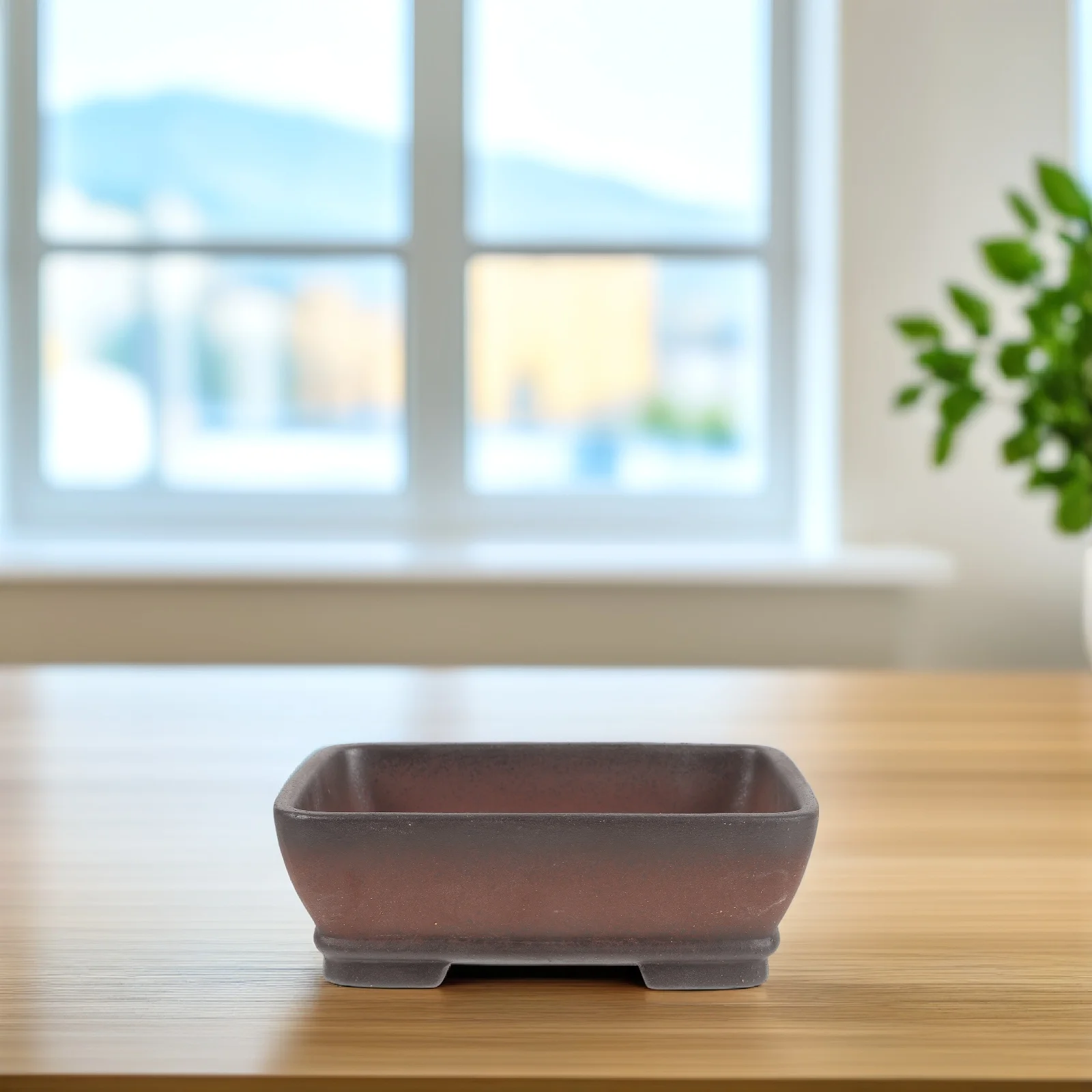 

Bonsai Pot Rectangular Succulent Flowerpot Portable Pots for Plants with Drainage