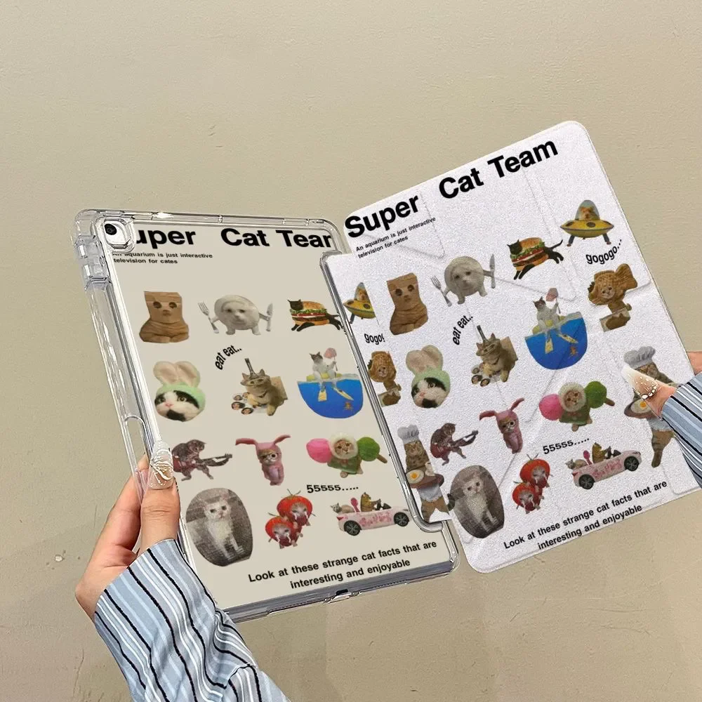 Korea Animals Cat K…