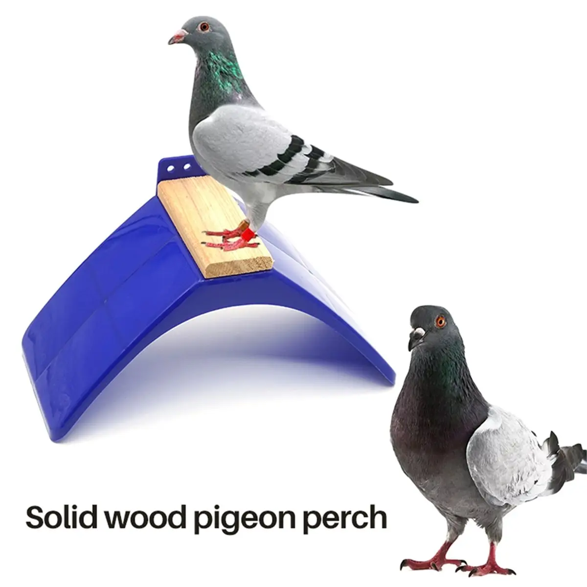 update-12pcs-pigeon-v-roost-perches-frame-dove-rest-stand-blue-dwelling-birds-frame-dwelling-perch-frame-roost-perches
