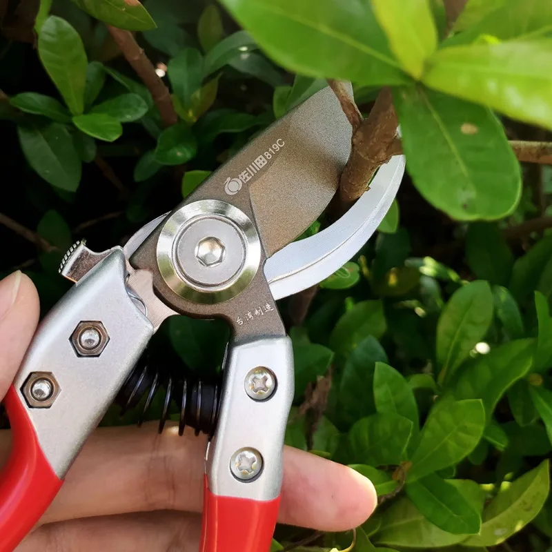 SK5 Steel Fruit Tree Pruning Shears Teflon Rustproof Branch Scissors Flower Shears Potted Plant Gardening Tools