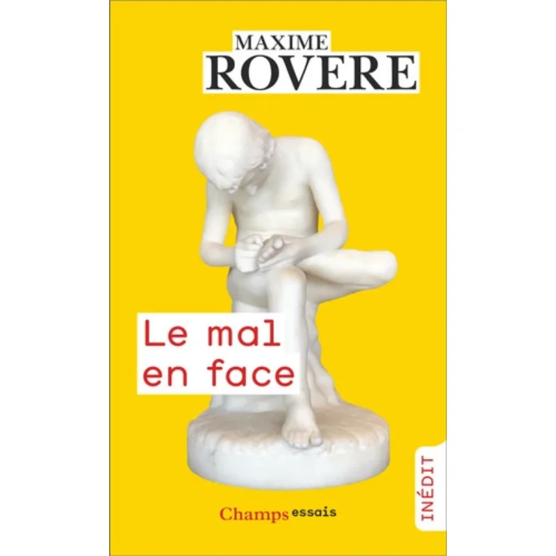 

Книга Le Mal En Face Maxime Rovere Flammarion 9782080478719