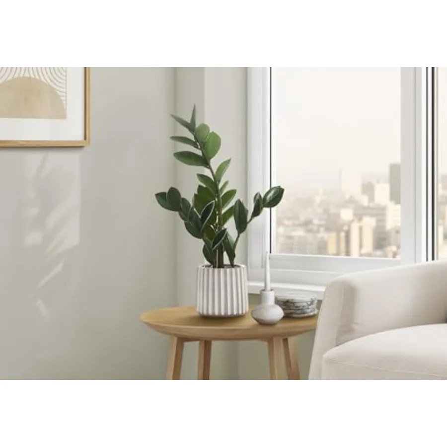 نبات Zz الاصطناعي بطول 20 بوصة مع أوراق خضراء لمسة حقيقية في وعاء أسمنتي رمادي لطاولة داخلية مزخرفة بالخضرة الصناعية المثالية