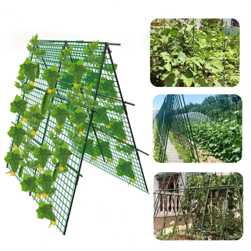 

Climbing Plant Support Stand Durable Steel Pipe Cucumber Trellis Easy Install A-frame Support for Climbing Plants with Plant