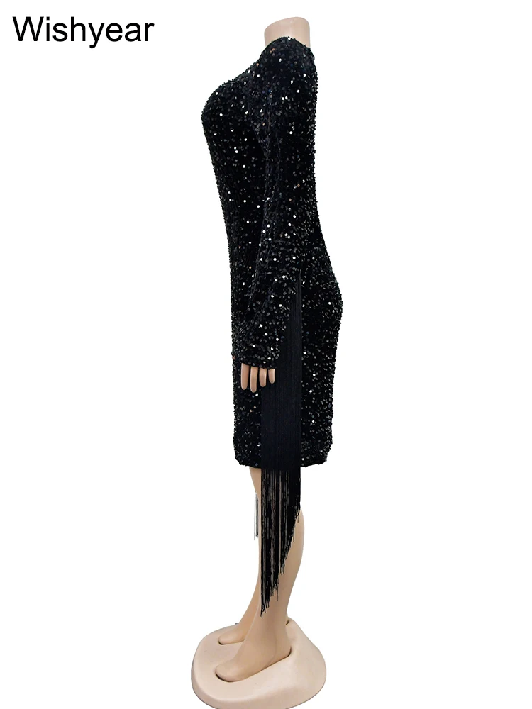 Wishyear Luxury Sparkly Sequin Fringe Tassel Long Sleeve Glitter Birthday  Dress Women's Sexy Party Prom Festivals Short Vestidos - AliExpress  200000345
