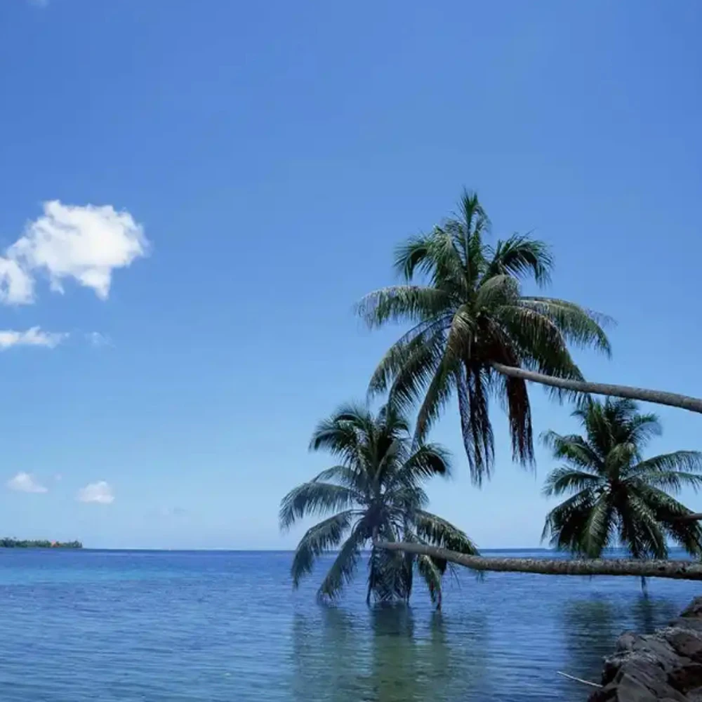 

Оригинальный и новый демпфер чернил для принтеров Epson SureColor P10000, P20000, P10080, P20080, F2000, F2100