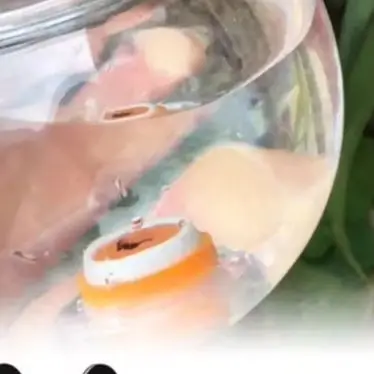 Automatic Watering Device Panda-shaped Easy And Convenient For Potted Plants Watering Plant Care Accessories