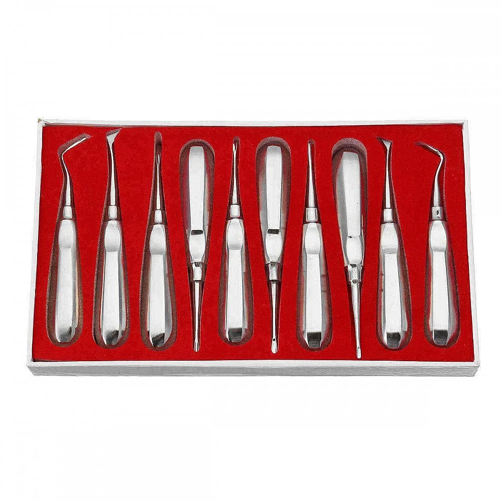10Pcs Root Elevator Orthodontic Instruments Tooth Loosening Root Extraction Kit