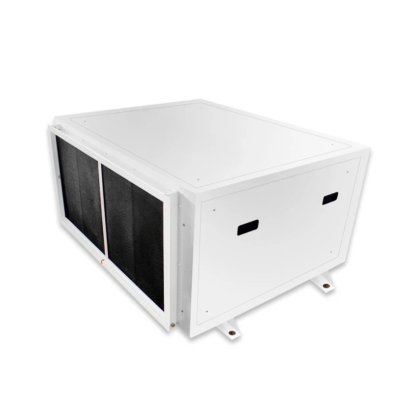 Dehumidifier Industrial high power basement wall-mounted dehumidifier