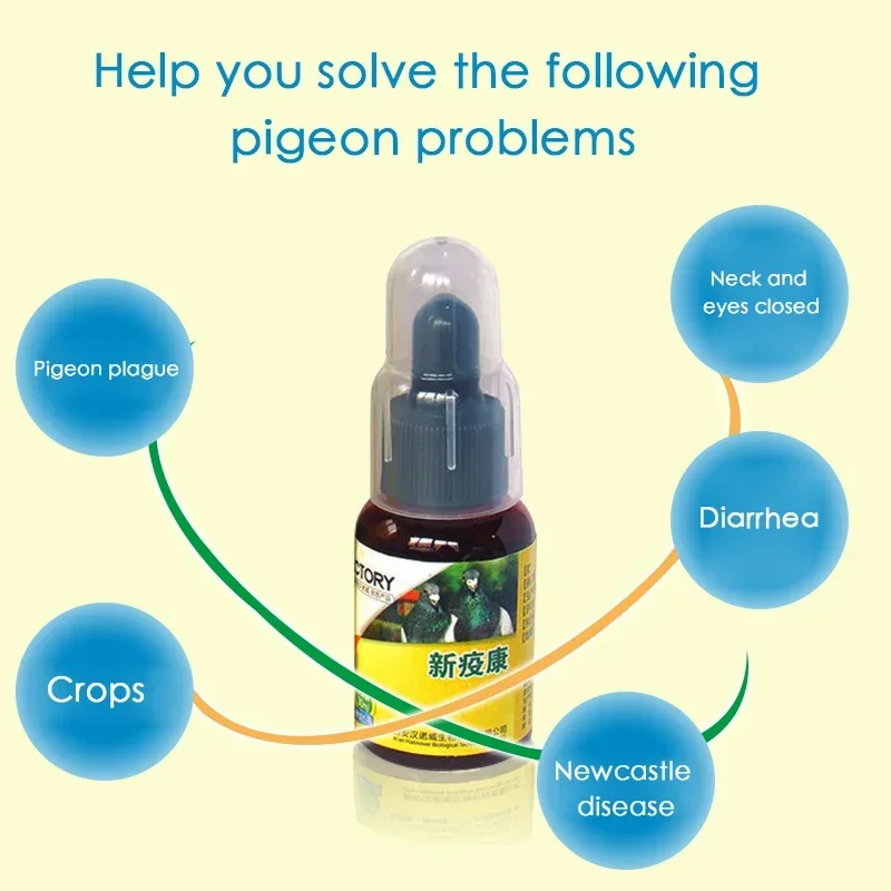 Pigeon Newcastle disease pigeon plague water green will tilt the head pigeon bursitis salmonella special for racing pigeons