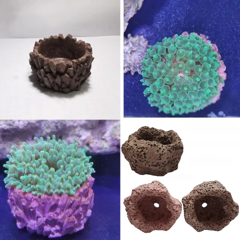 Nido de anémona para tanque de mar, tarro de Coral, Material ecológico, nido de anémona hecho a mano, decoraciones para pecera, adornos para acuario