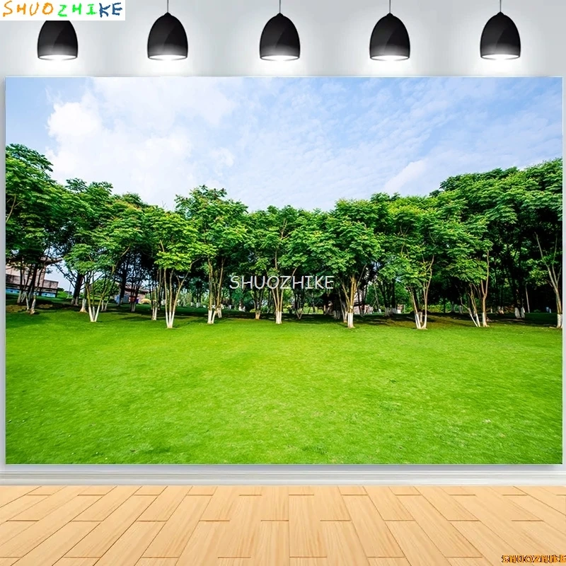 خلفيات تصوير للربيع الأخضر ، مناظر طبيعية جميلة ، الدعائم سحابة السماء الزرقاء البيضاء ، حديقة الطبيعة ، صور الغابات ، خلفية الاستوديو ،