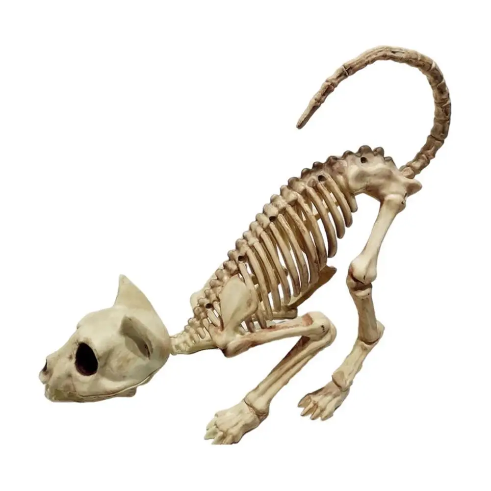 Halloween Scary Skeleton Decoration 1Pcs Crouching Cat Skeleton Cat Skull Model Creepy Animal Bones for VAMPIRE Party Trick