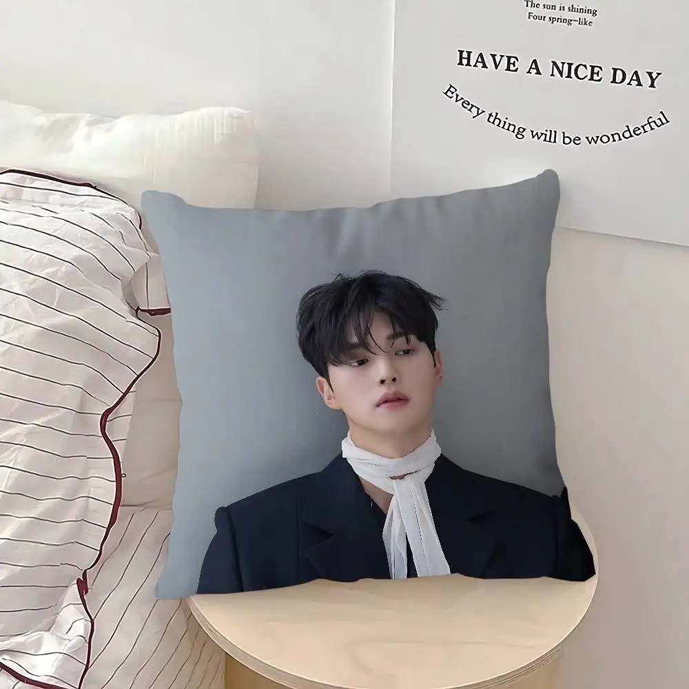 S-SONG KANG وسادة هدية ديكور مكتب المنزل وسادة غرفة نوم أريكة غطاء وسادة السيارة كيس وسادة