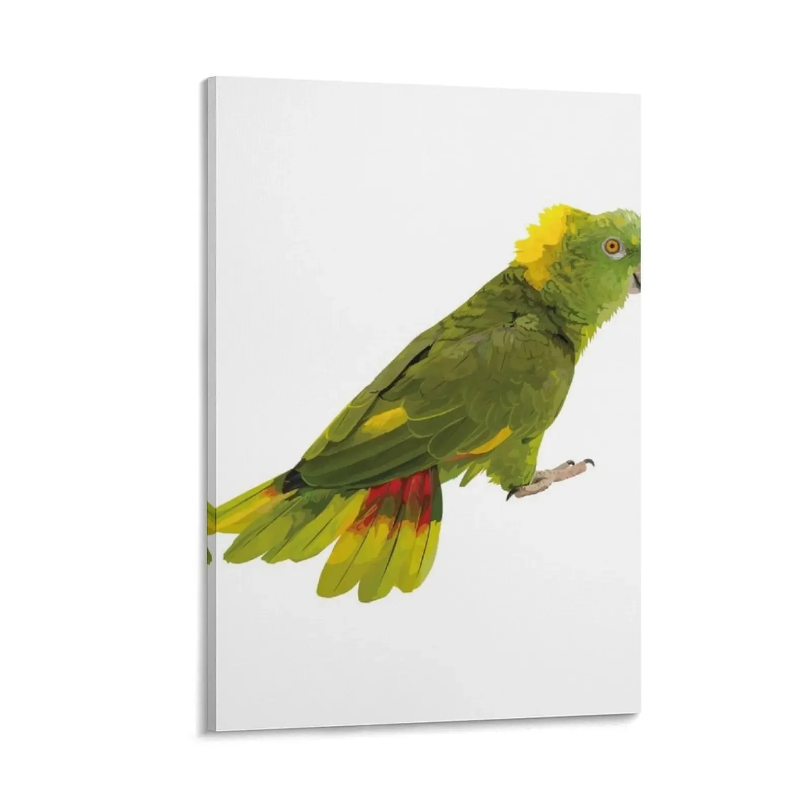 

yellow-naped amazon Canvas Painting art mural poster