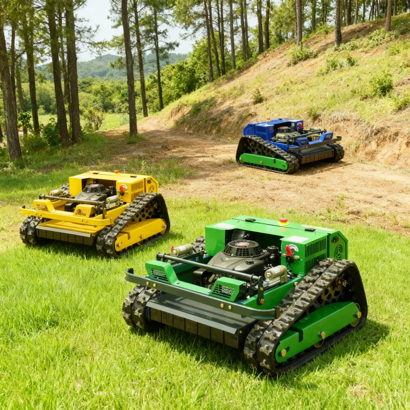 ‌Customized Profess… - image