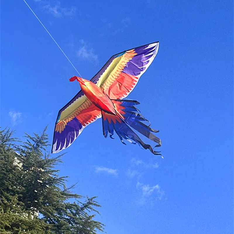 Darmowa wysyłka cock kites papagaio de vento praia cometas gigantes lenkdrachen latawce latający latawiec kołowrotek paralotniarstwo zabawa