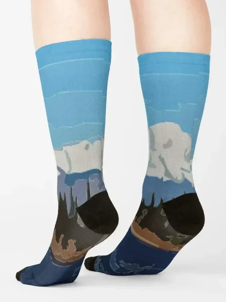 Mount Denali and Lake Vector Painting Socks winter gifts colored cotton set Socks For Girls Men's