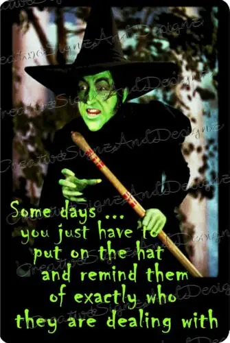 SOME DAYS YOU HAVE TO PUT ON THE HAT Wicked Witch Wizard Oz METAL PRINT SIGN