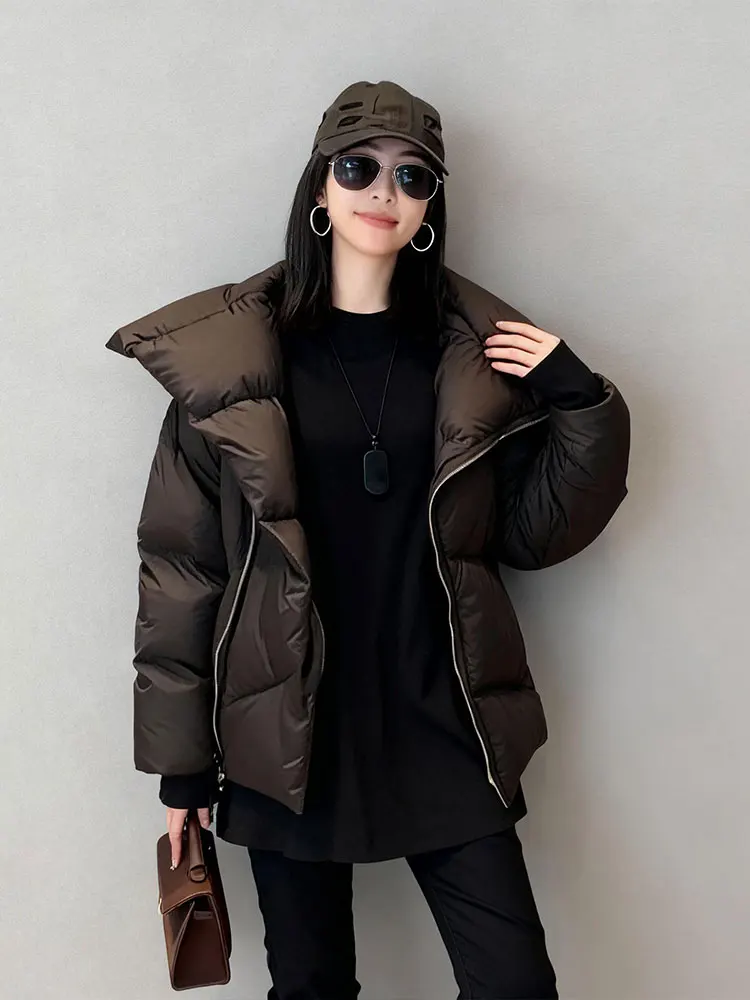 Faionable Brown Bread down Jaet Women's Winter New Sle Big Collar Street Sle Commute Sle Korean Version Polyester F...