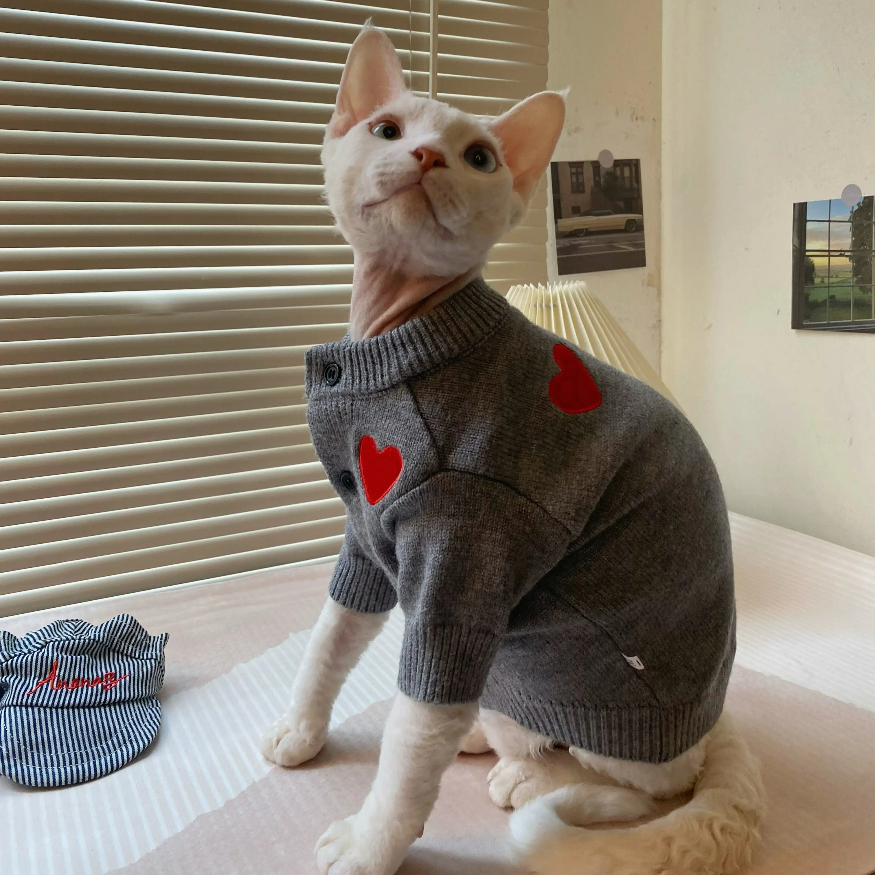 Sphynx Cat Button Knit Jacket in Winter Warme jas met lange mouwen voor Abyssinische kat Lente Herfst Vest Loungewear voor kittens