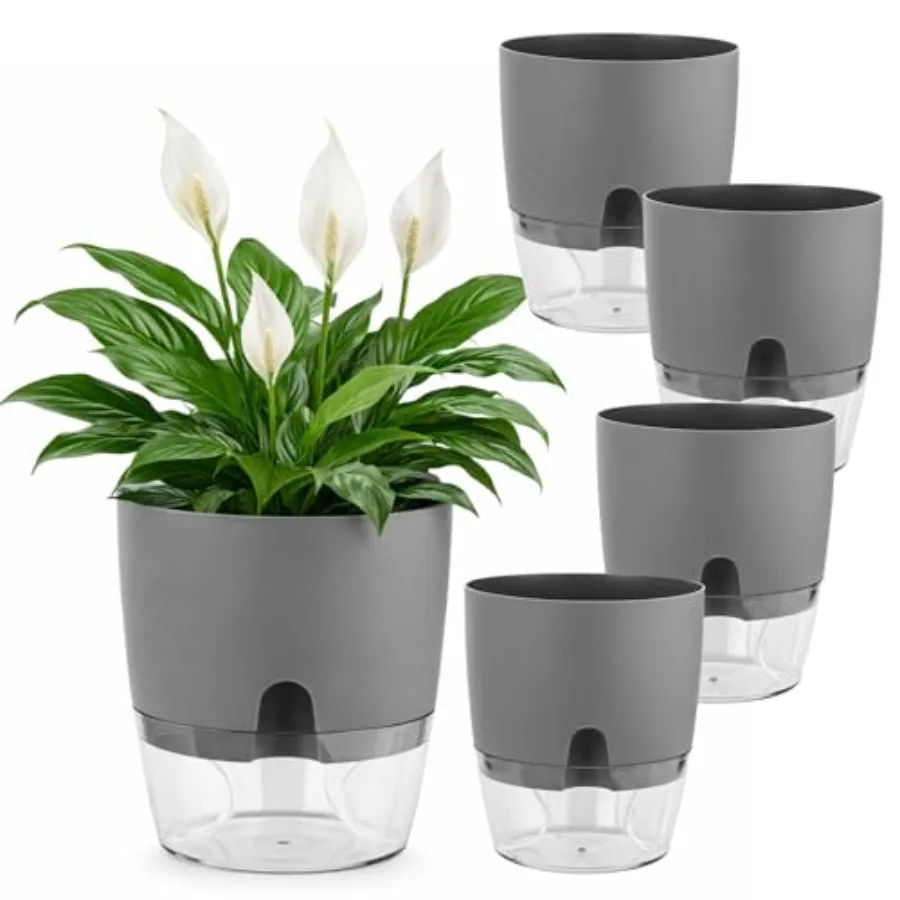 

Самополивающиеся горшки для растений: пластиковые кашпо для орхидей, монстер, лилий, большие прозрачные цветочные горшки