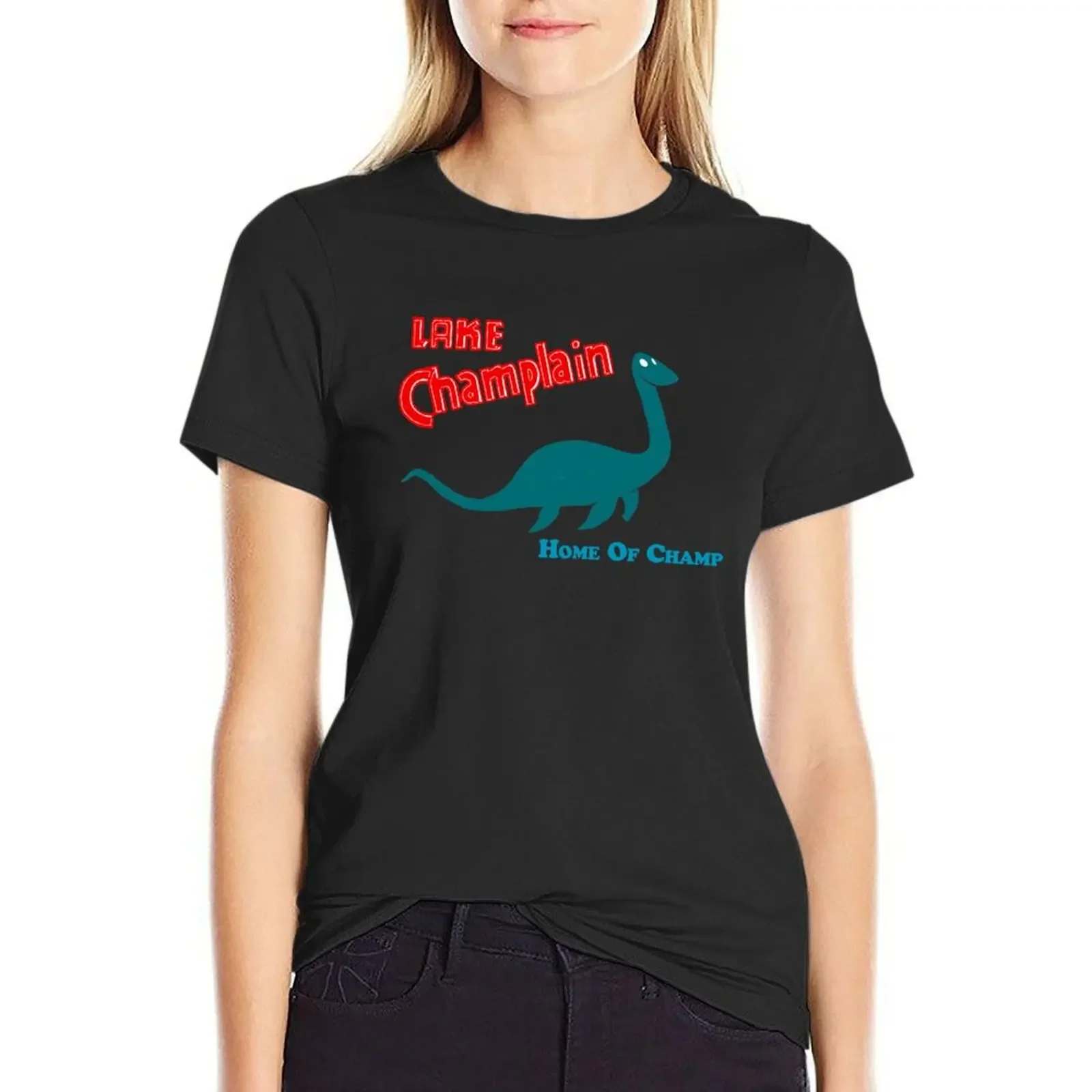 

Lake Champlain T-Shirt Female clothing Short sleeve tee Aesthetic clothing Women's t-shirt