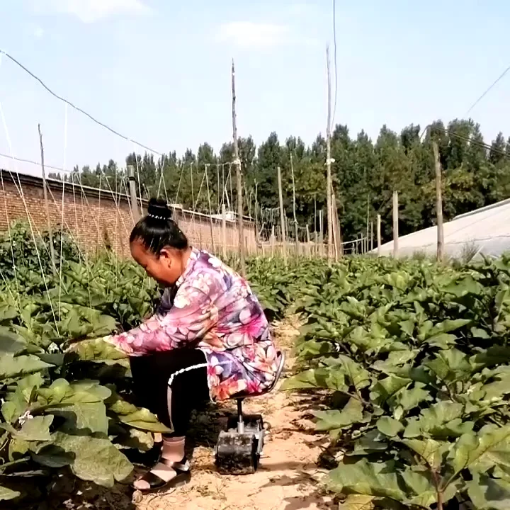 Cadeira agrícola giratória do assento móvel do jardim, banco preguiçoso da estufa, ferramentas de colheita, colheita agrícola, 360 graus