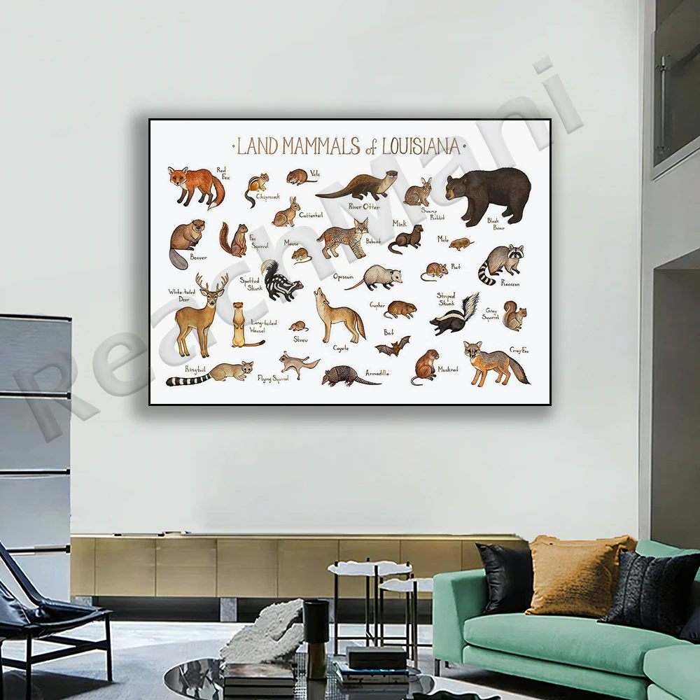 Louisiana Land Mammals Posters, Louisiana Animals Posters, Wildlife Posters, Animals Posters, Louisiana Nature Art