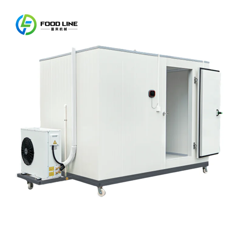 Customized External Dual Fan Cooling Walk In Cold Storage Warehouse, Commercial Insulated Refrigeration Room