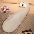 shark