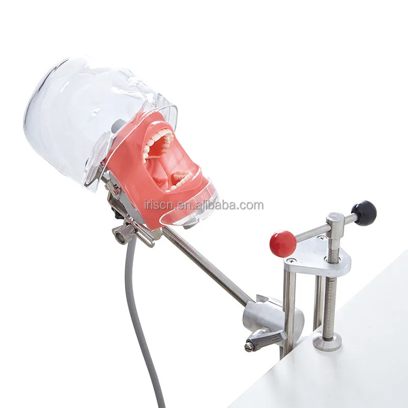 Head Models Nissin …