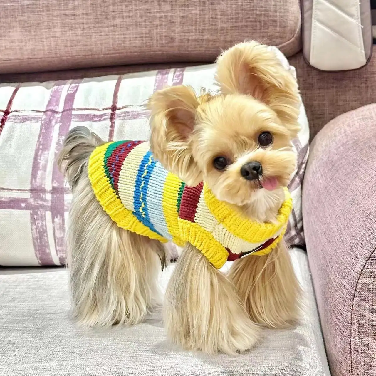 

Autumn and Winter Pet Striped Knitted Vest Yorkshire Vest Rainbow Sweater Schnauzer Knitted Vest Puppy Clothes for Small Dogs