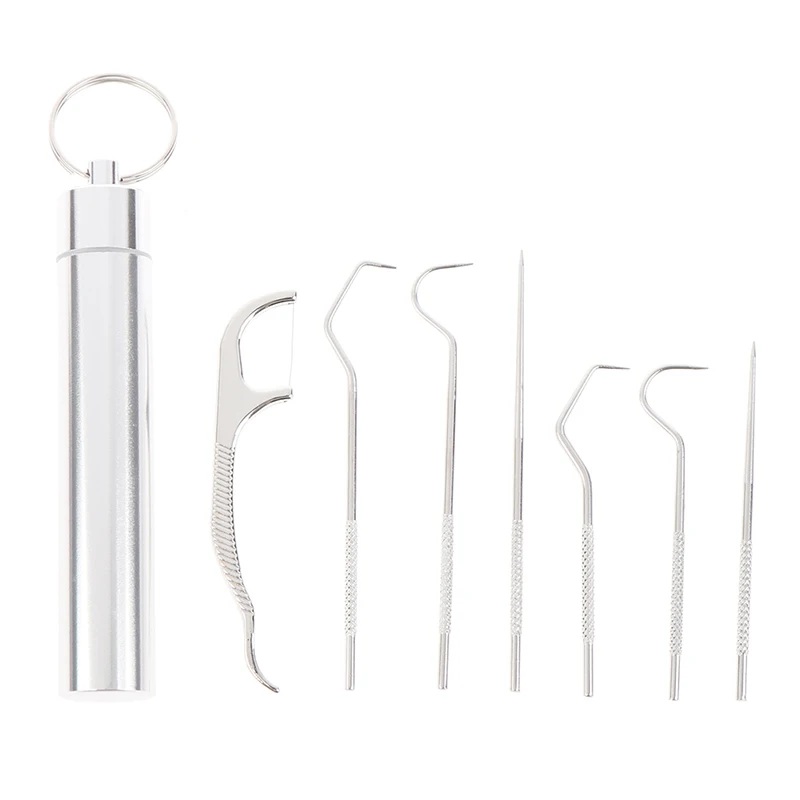 

Stainless Steel Toothpick Set Tooth Flossing Reusable Toothpicks Portable Toothpick Floss Teeth Cleaner Oral Cleaning