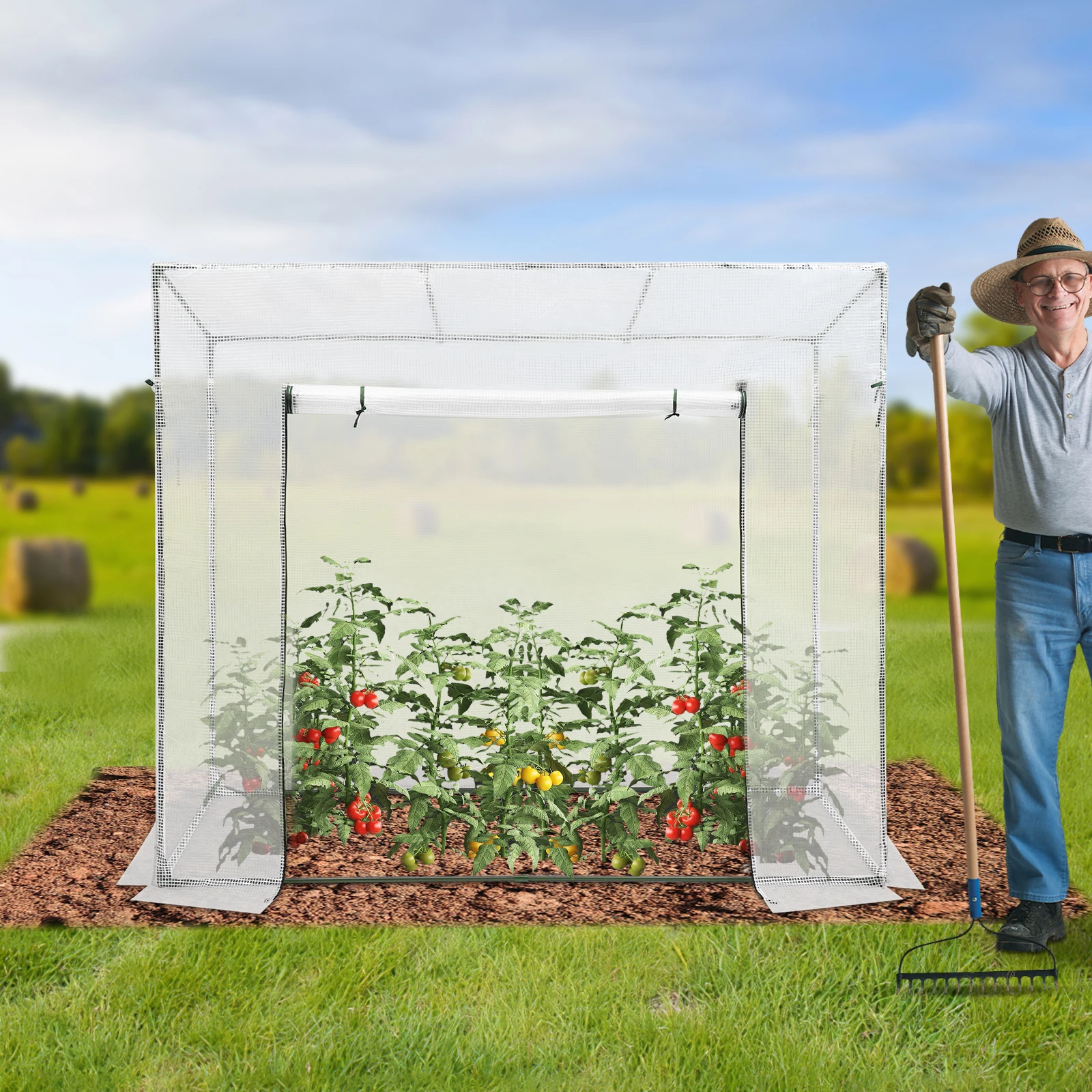 Outdoor Plant Greenhouse Kit PE Mesh Cloth Steel Frame Free Standing with Window Galvanized Plastic Covering for Garden Plants