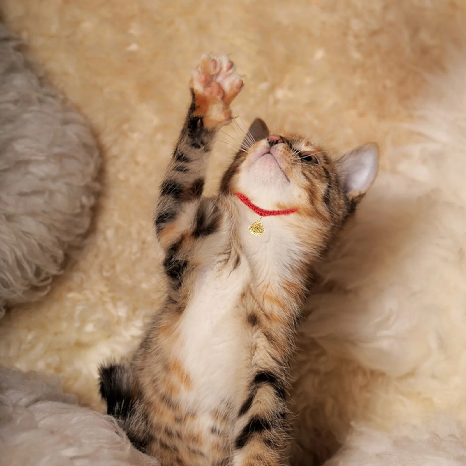 

Adjustable Handwoven Red Rope Cat Collar with Breakaway Kitten Puppy Collar for Cats Small Dogs Neck 15-40Cm