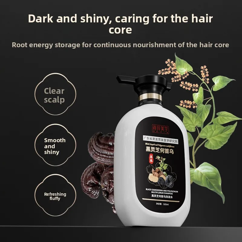 Herbal Shampoo Featuring Black Ganoderma and Polygonum Multiflorum for Oil - Controlling Fluffy Hair and Hair Strengthening