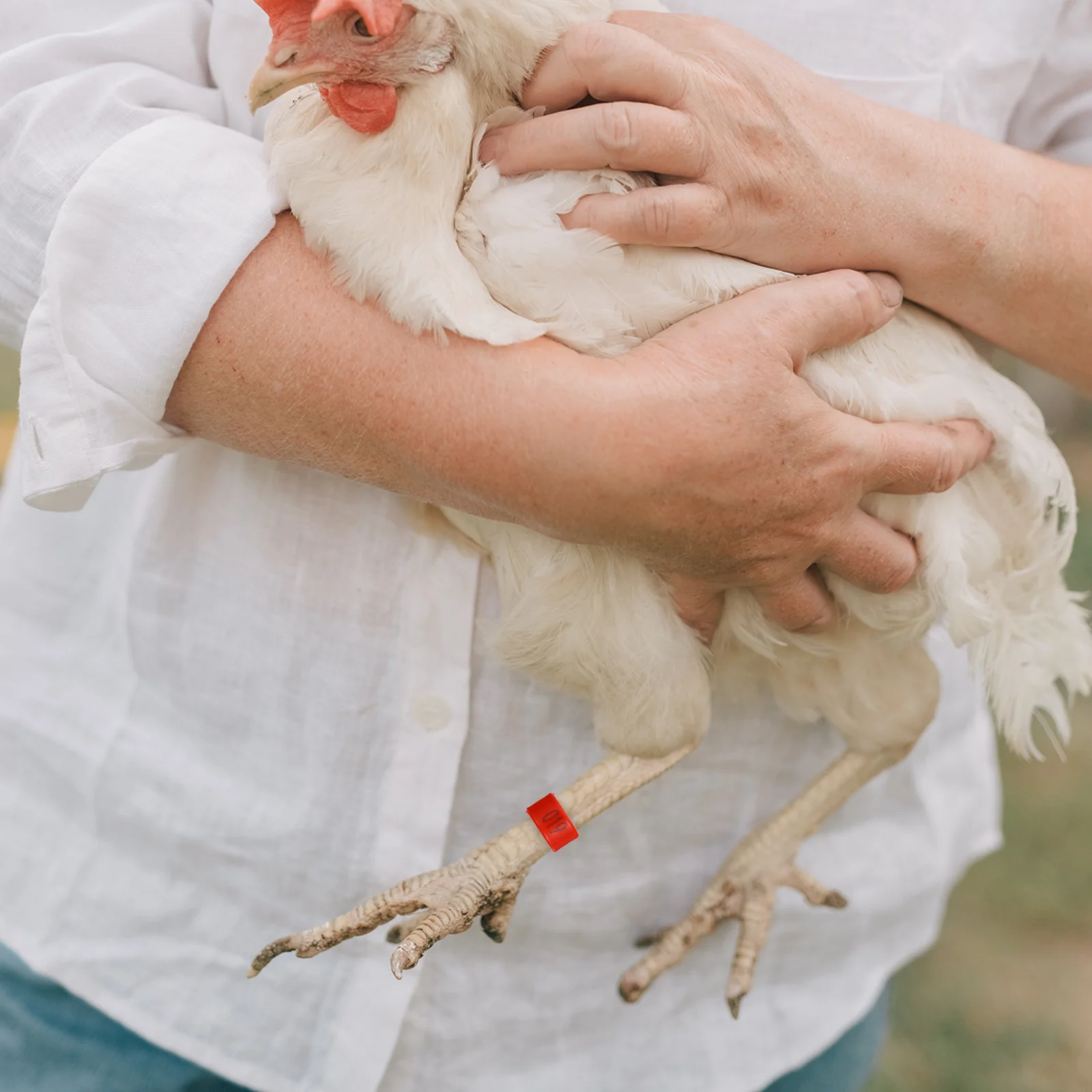 

100Pcs Bird Foot Rings Poultry Leg Bands Easy Apply Remove Reusable Marking Tool Chicken Leg Rings Poultry Bands