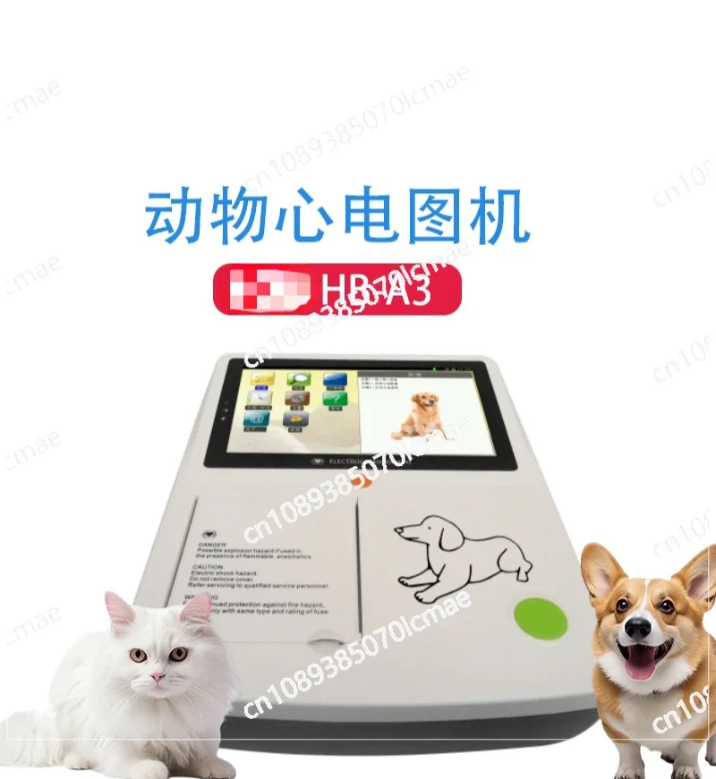 Animal Electrocardiogram Detector Machine, Veterinary Detector, Pet, Rat, Mouse, Cat, Dog