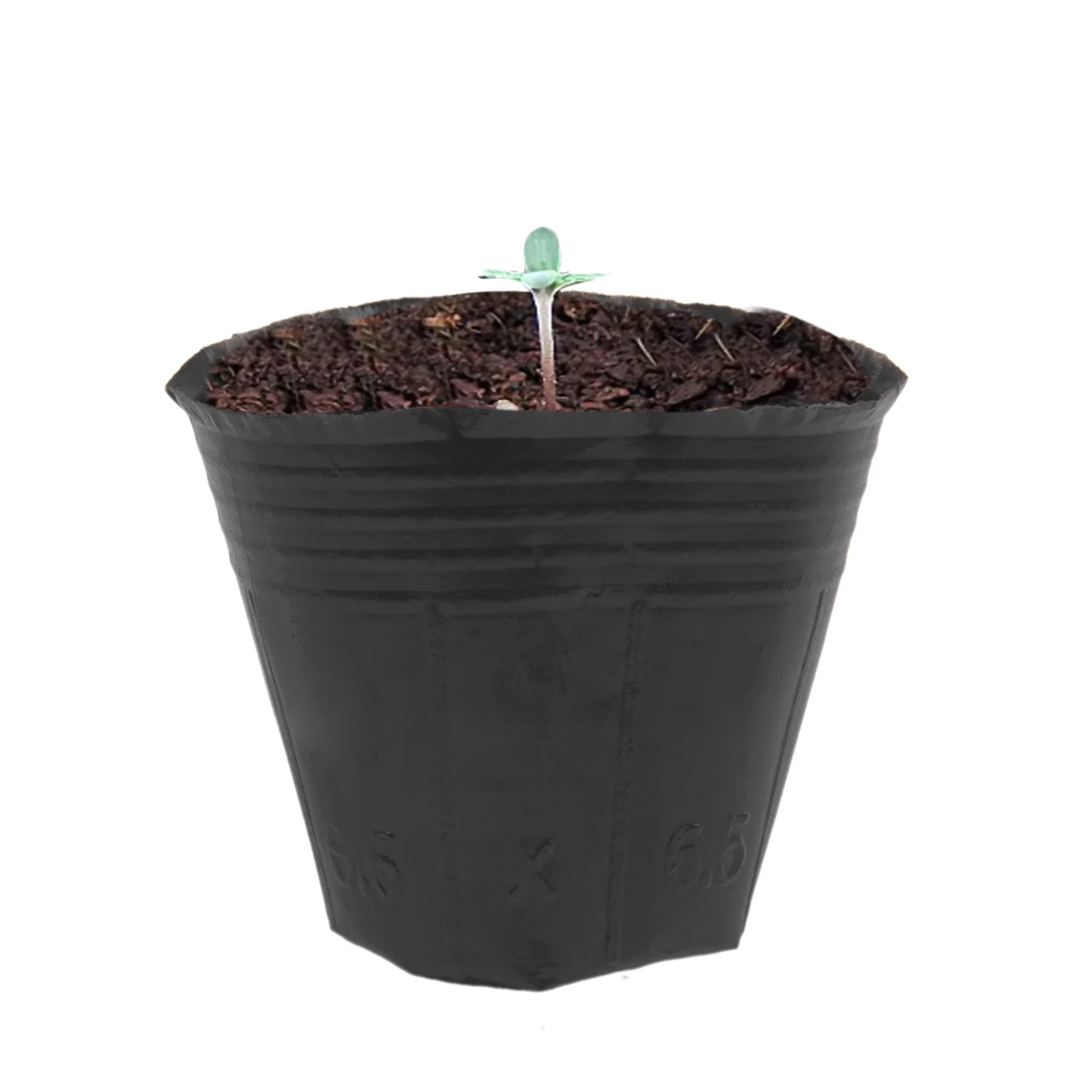 100 Pack Black Plastic Plant Containers for Horticulture with Drainage System and Ventilation for Consistent Growth Support