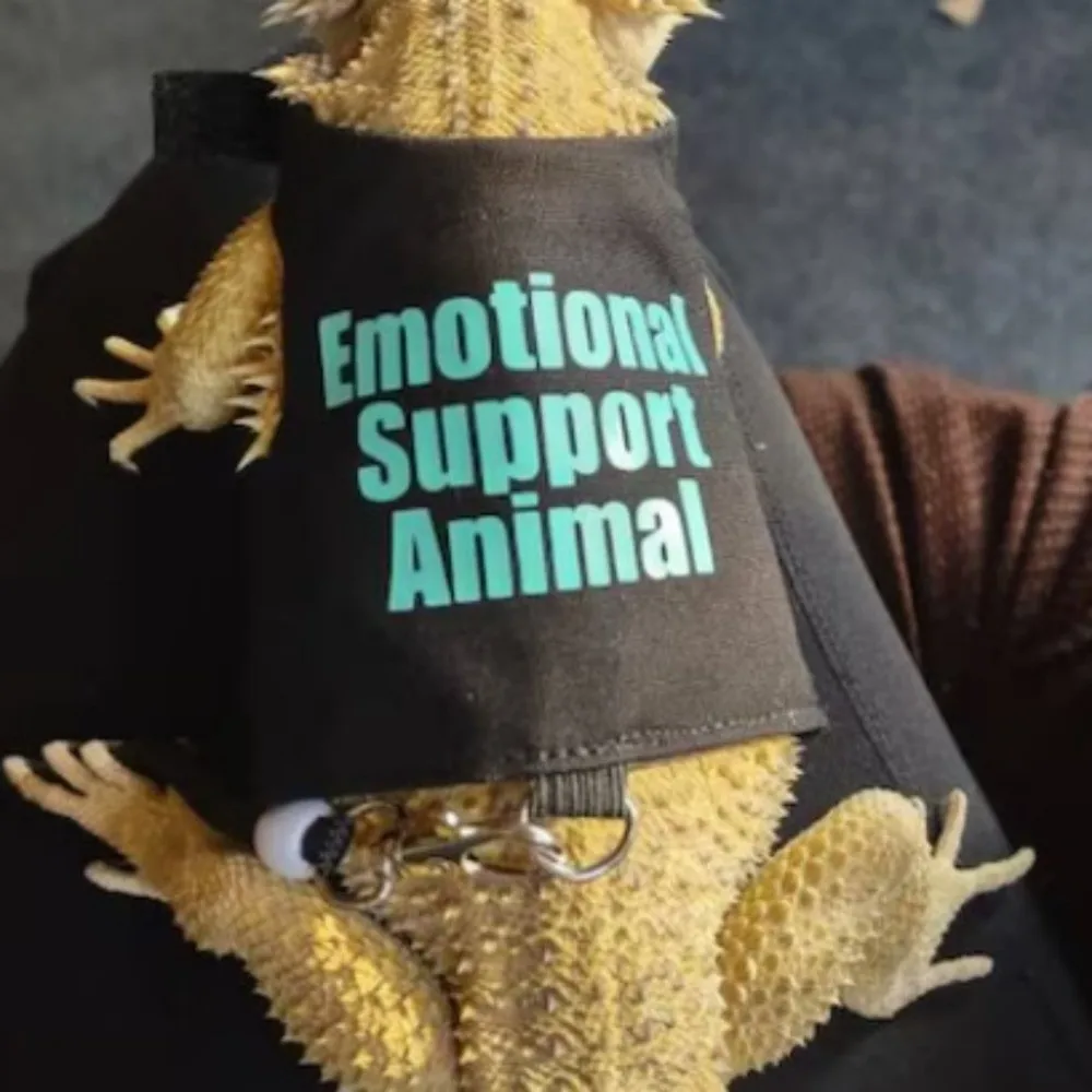 

Soft Emotional Support Animal Harness Adjustable Breathable Reptile Harness Squirrels Escape-Proof Lizard Leash Harness